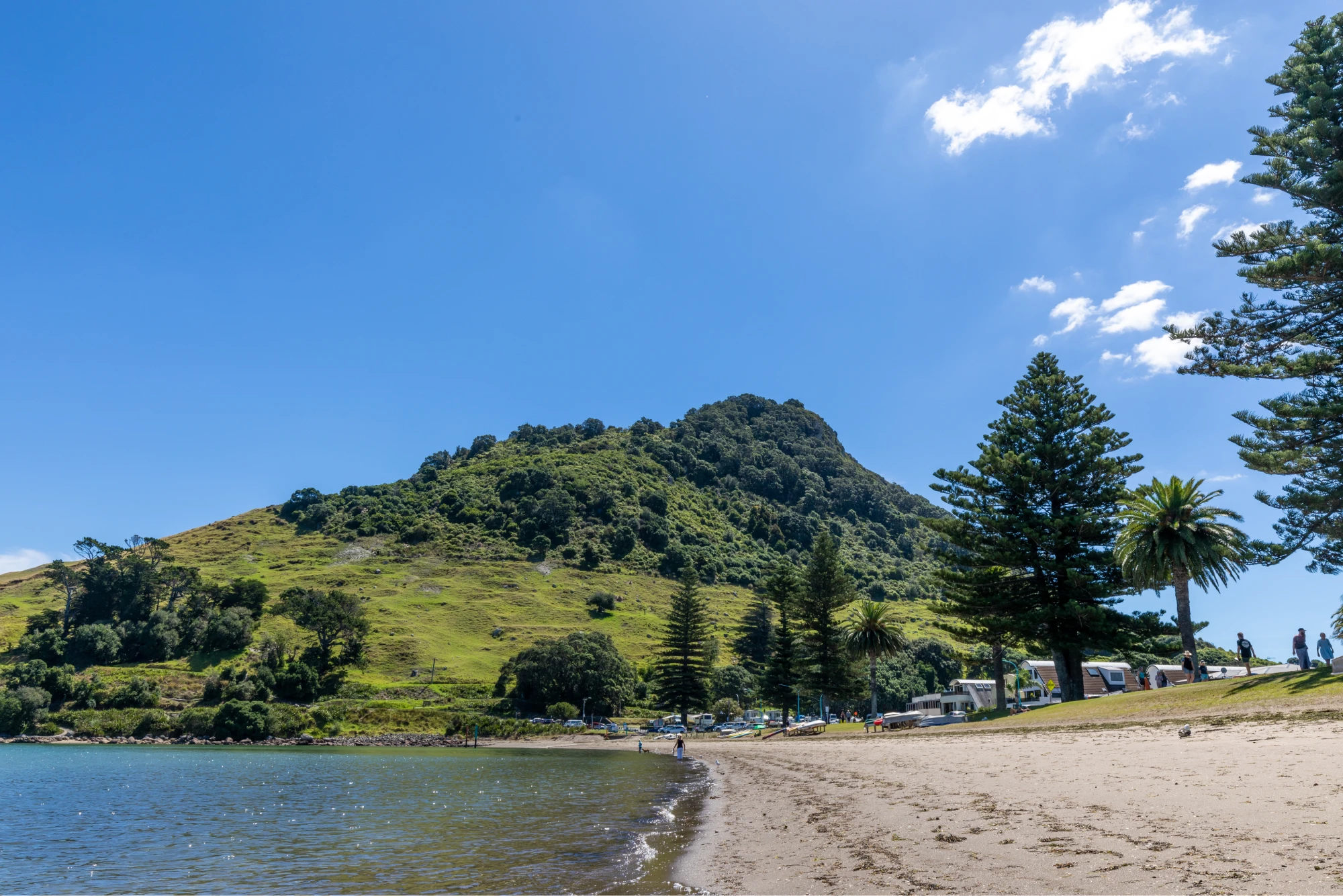 7716 exterior photos of tauranga campus 50