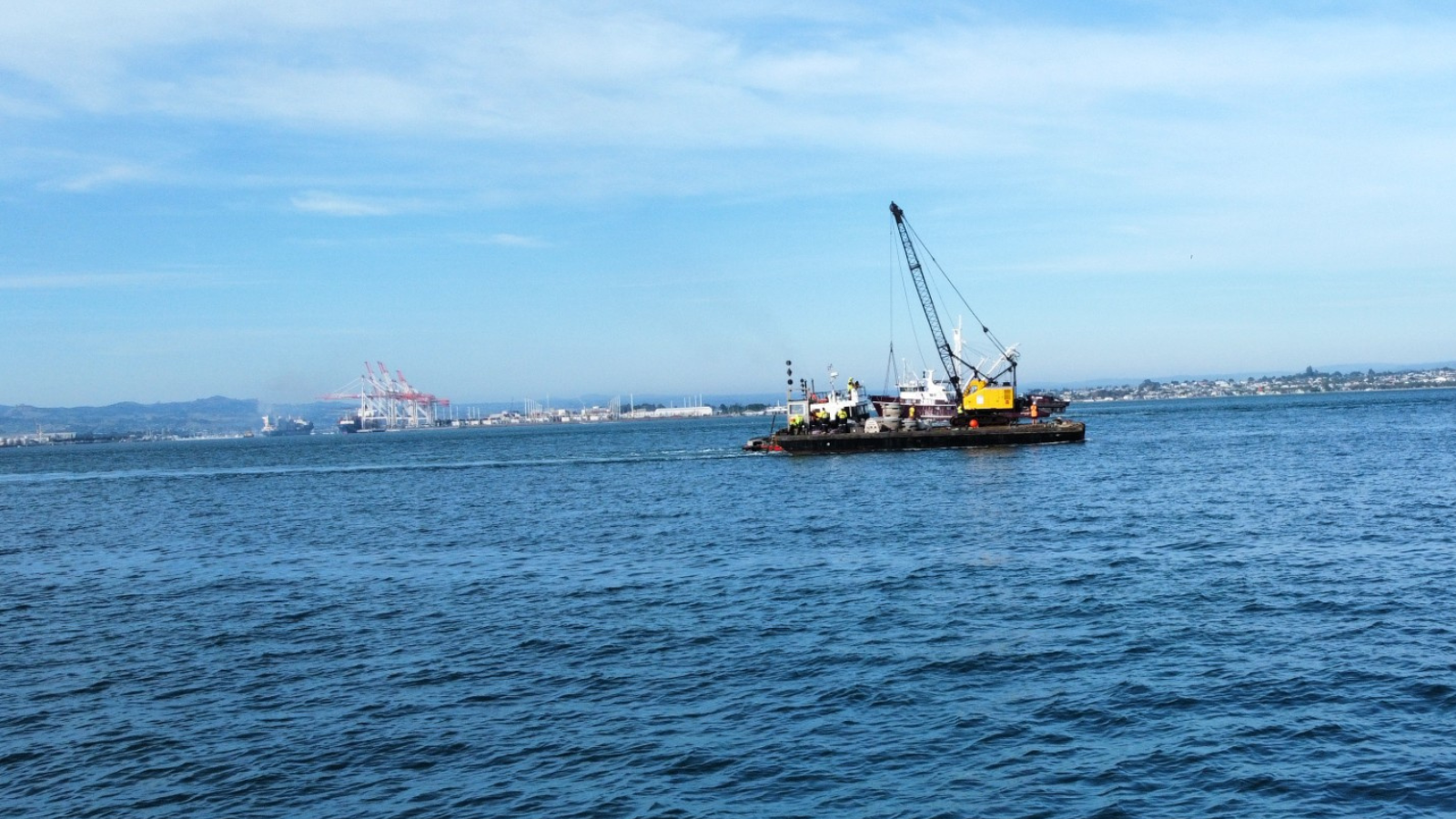 peara reef tauranga