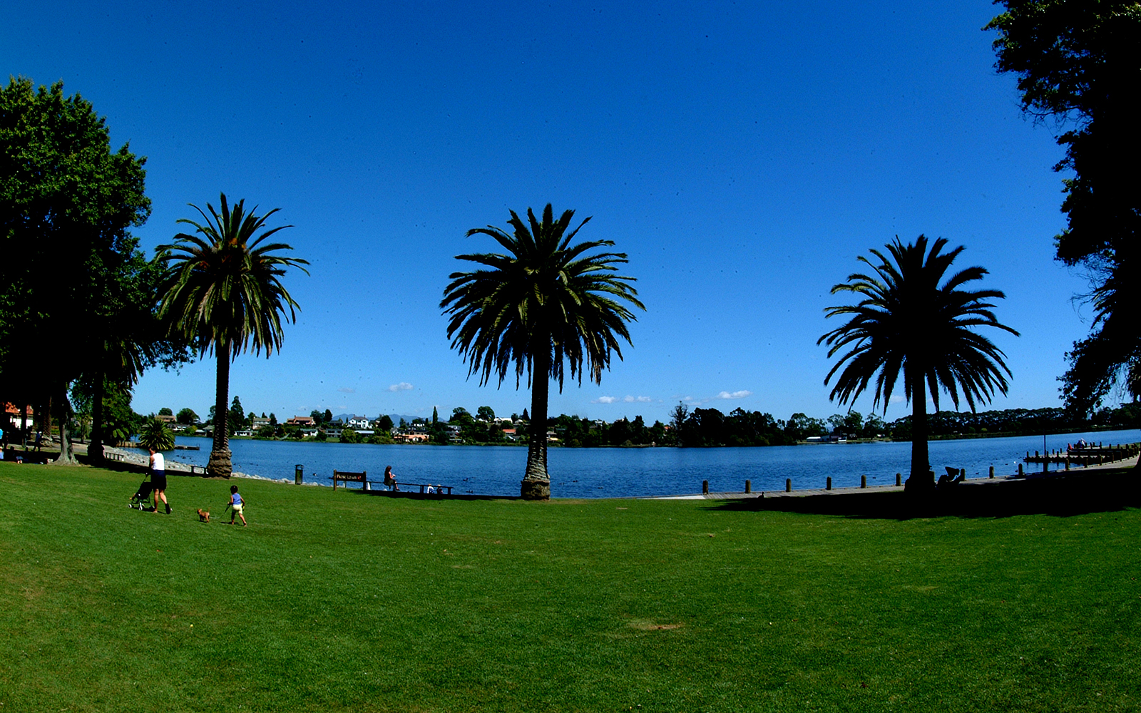 hamilton lake